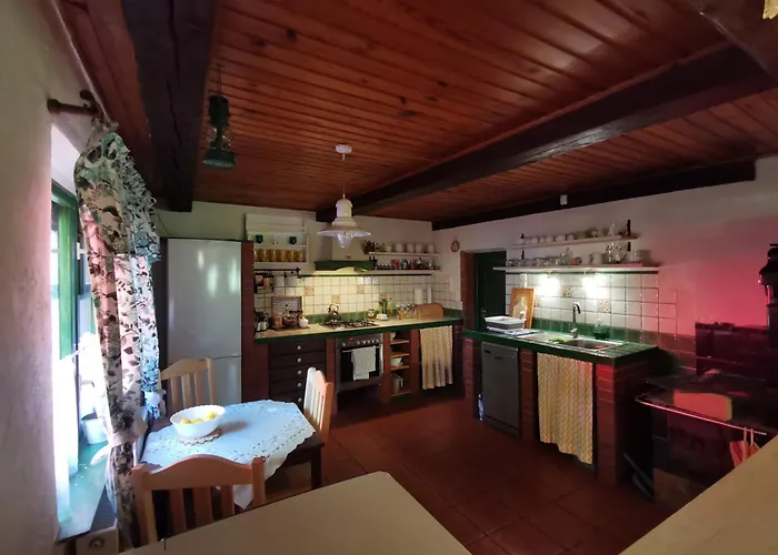 بيت خشبي Zielone Wzgorze Lasowka